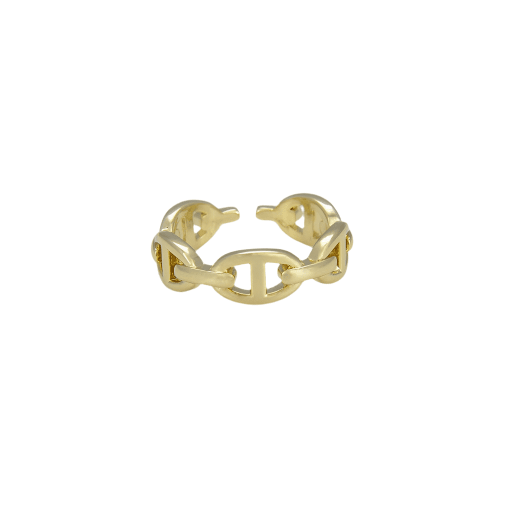 Dunia - Adjustable Chain Link Ring